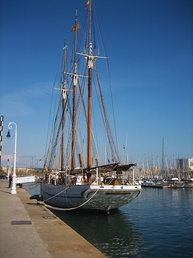 b0064411_733244.jpg