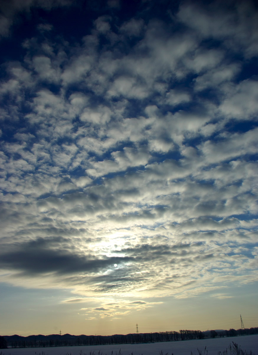 e0142611_10404773.jpg