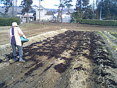 a0118120_85457.jpg