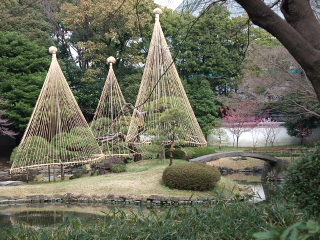 f0182920_9511872.jpg