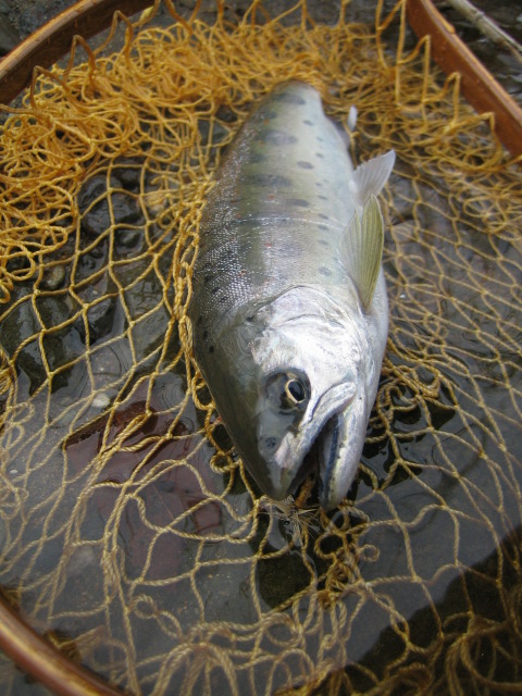 e0063923_0164886.jpg