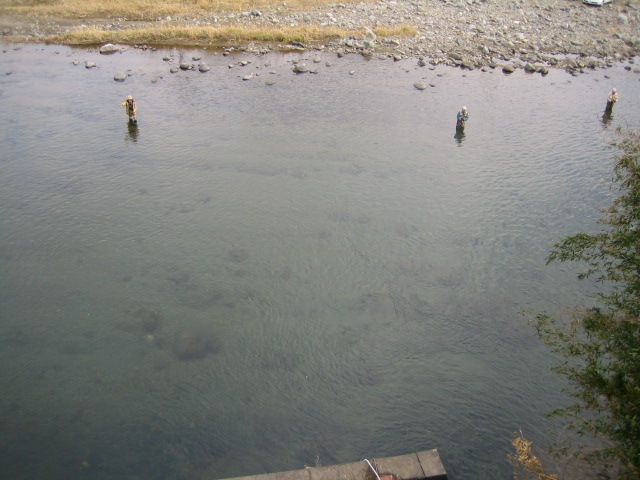 e0063923_0172030.jpg