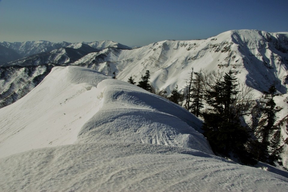 b0062024_20464018.jpg