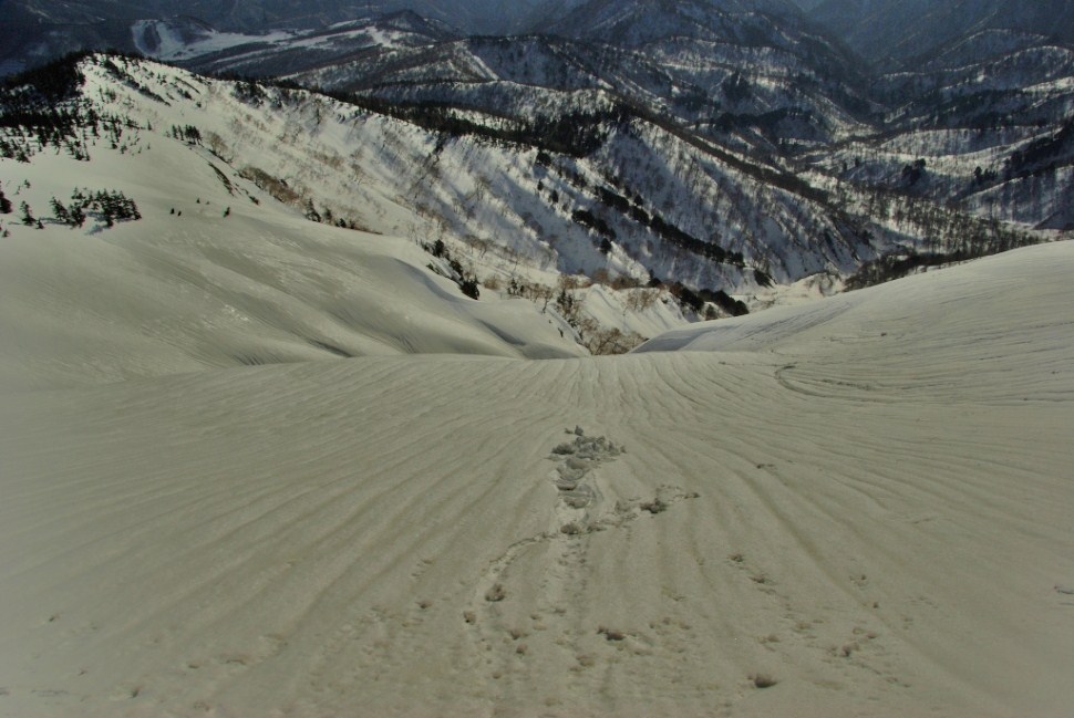 b0062024_20473267.jpg