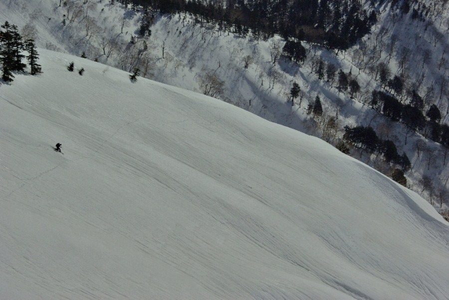 b0062024_20561528.jpg