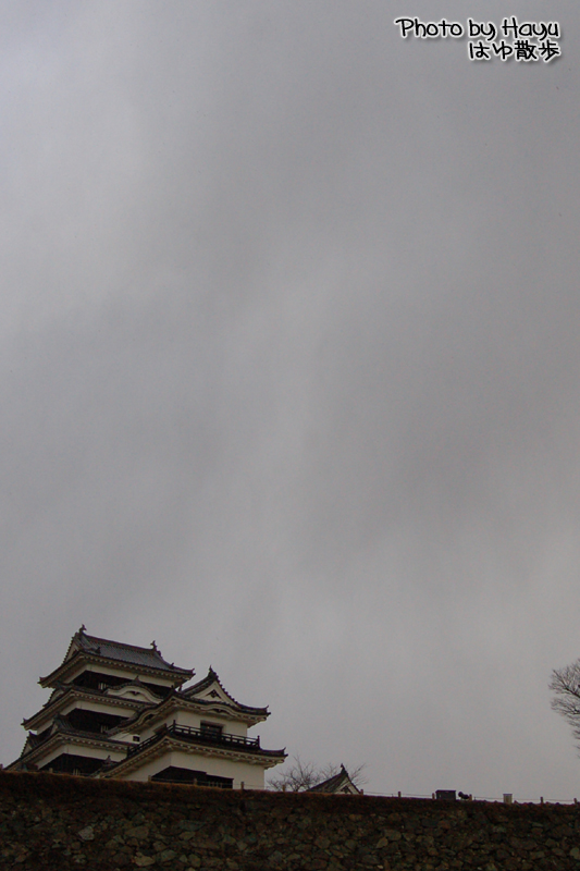 a0059328_033389.jpg