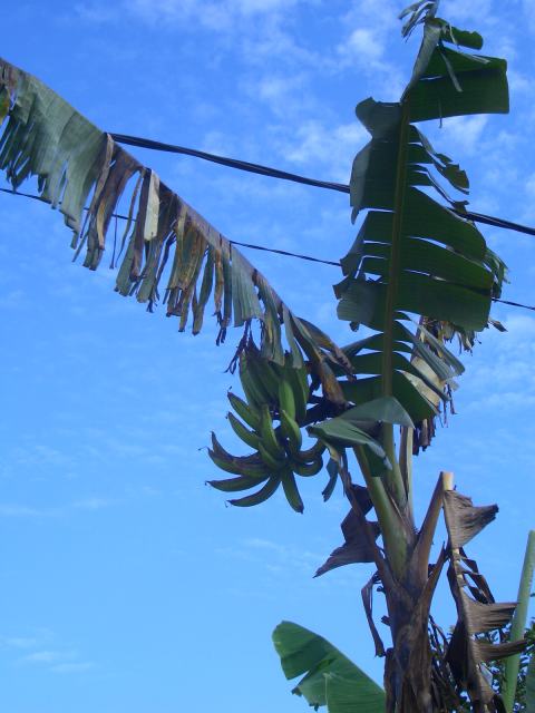 a0024829_11111047.jpg