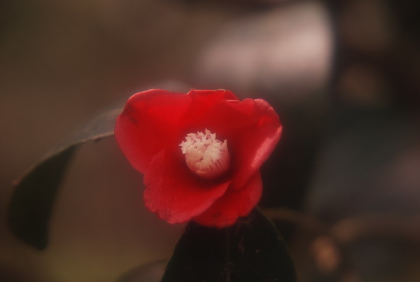 e0116532_22111595.jpg