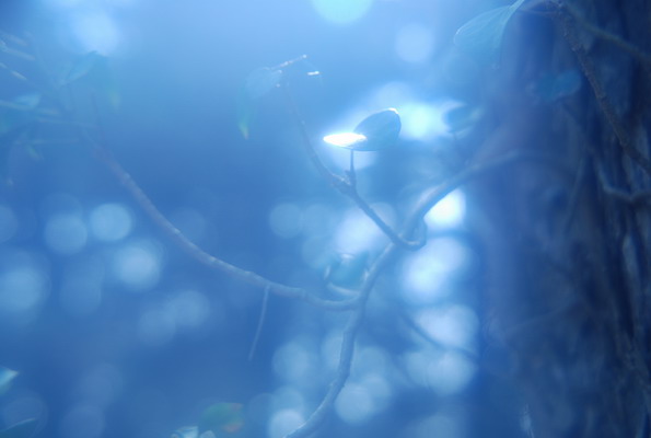 e0116532_22142339.jpg