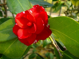 c0056437_1418321.jpg