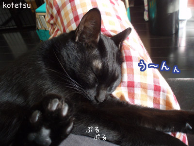 c0132438_22542830.jpg