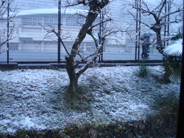 a0048040_17525987.jpg