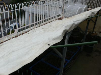 d0022845_1654781.jpg