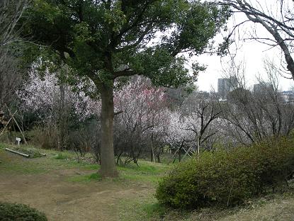 f0107145_23333959.jpg