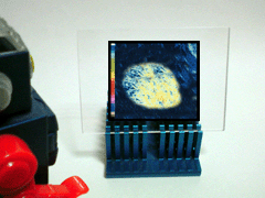 e0005548_0394317.gif