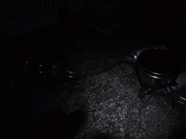 f0046250_1161899.jpg