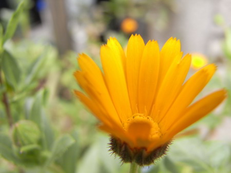 b0071654_13555248.jpg
