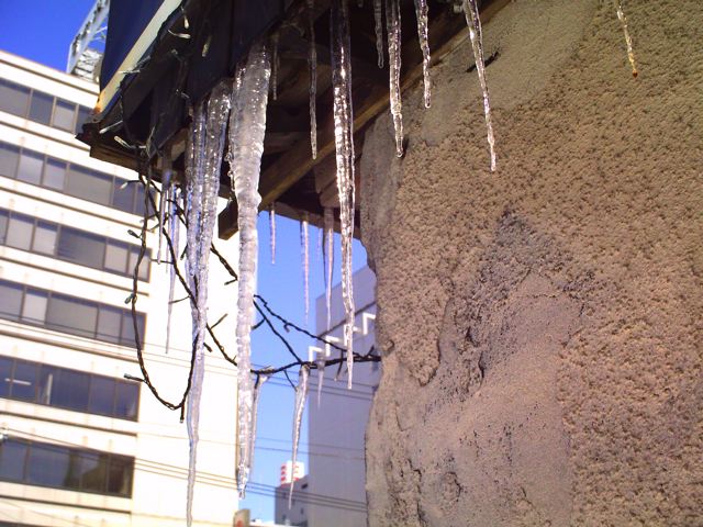 f0056359_3194967.jpg