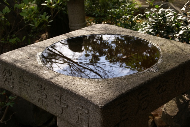 a0091666_17241826.jpg