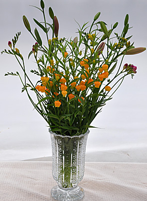e0097770_2149528.jpg