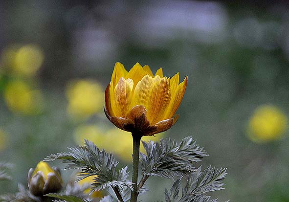f0198771_034569.jpg
