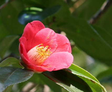 f0181173_1231525.jpg