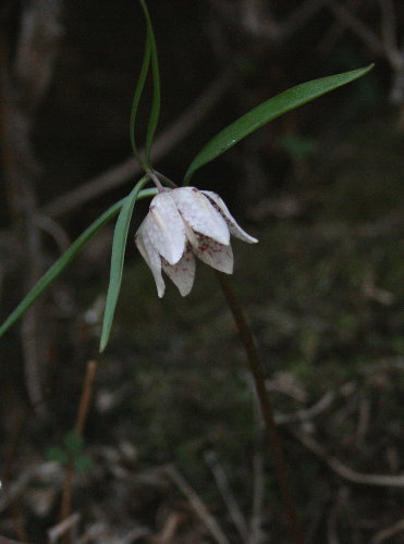 f0181173_19114119.jpg