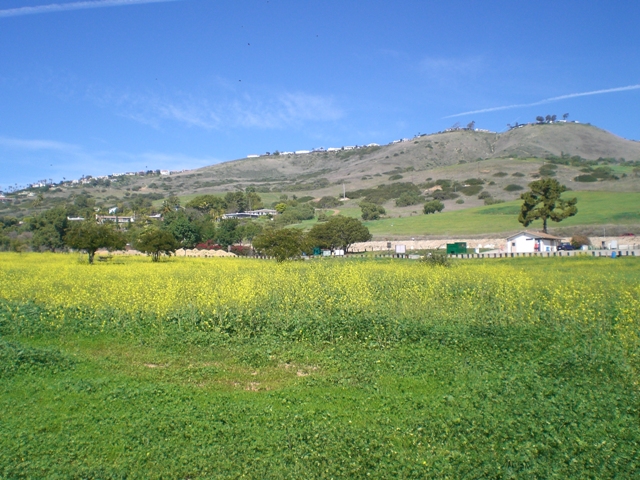 c0187677_1657213.jpg