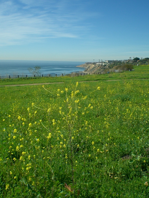 c0187677_16573987.jpg