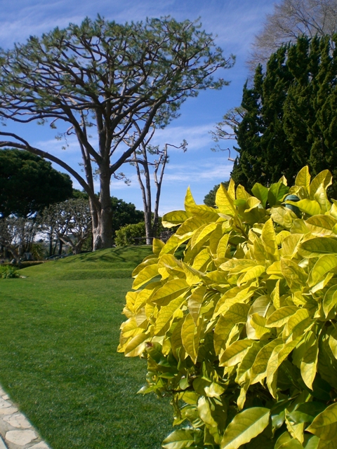 c0187677_17215148.jpg