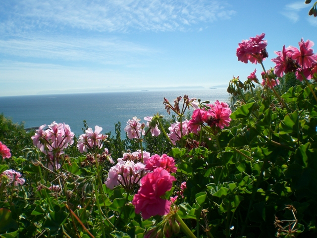 c0187677_17225491.jpg