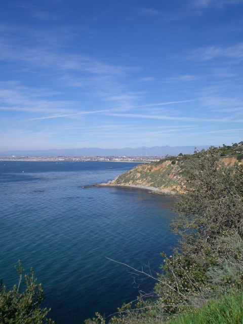 c0187677_17233438.jpg