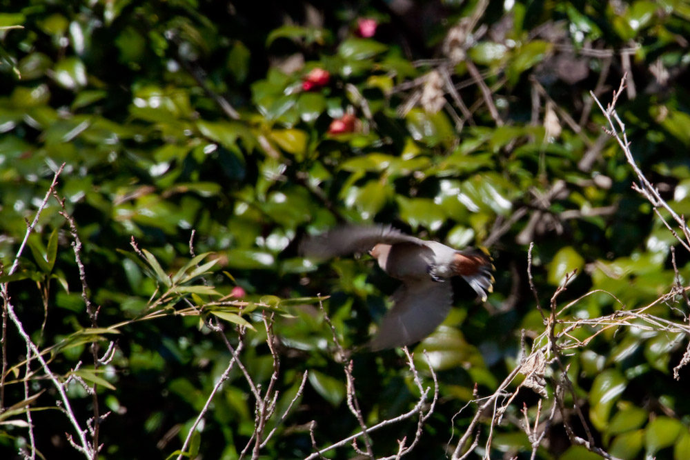 a0083081_14312580.jpg