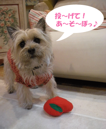 e0066883_21574488.gif