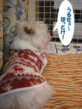 e0066883_2244769.gif