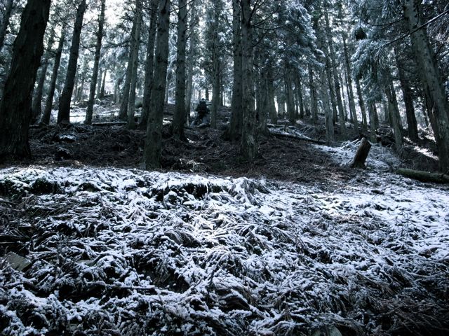 e0129083_16471072.jpg