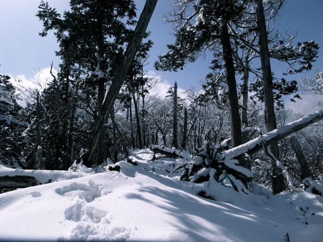 e0129083_16482834.jpg