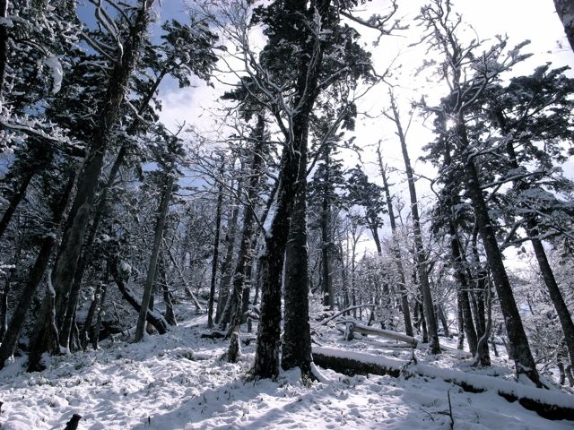 e0129083_16483332.jpg