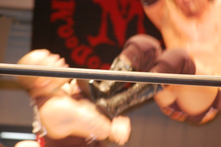 b0082484_21544645.jpg