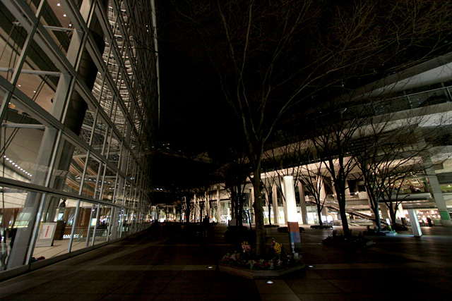 b0067789_21242468.jpg