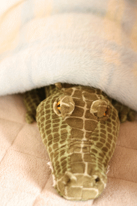 d0100192_21451112.gif