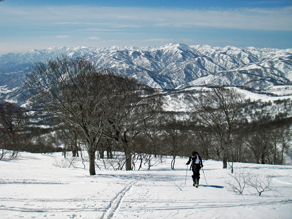 a0043193_053220.jpg