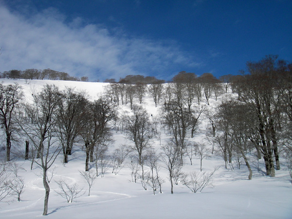 a0043193_0535910.jpg