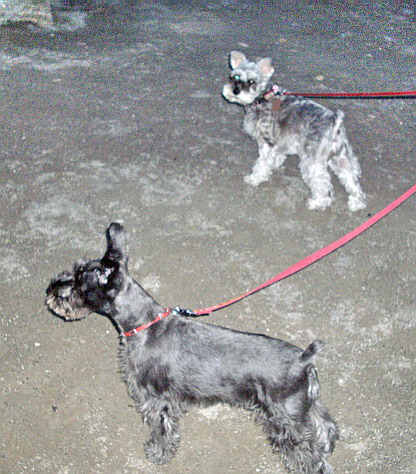 c0138198_21573315.jpg