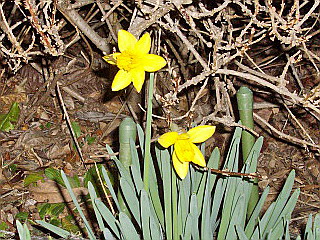 c0138198_2263053.jpg
