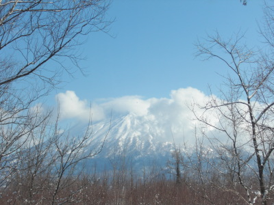c0125899_10485621.jpg