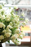 a0117102_1748922.jpg