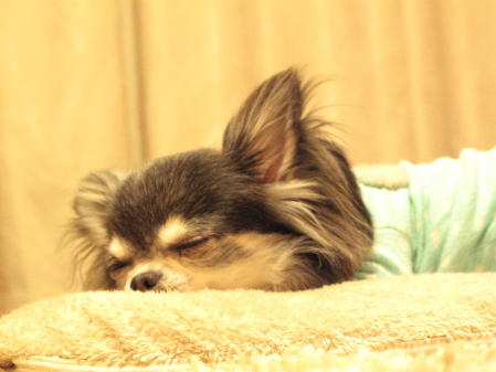 a0079803_0243139.jpg