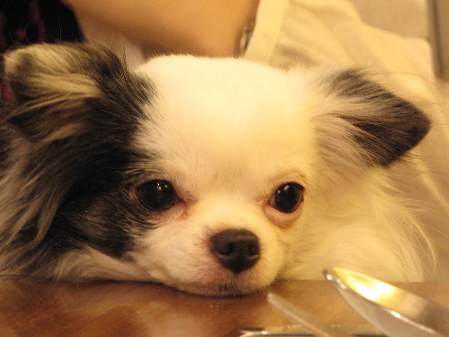a0079803_032511.jpg