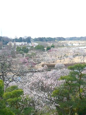 c0058606_1205540.jpg